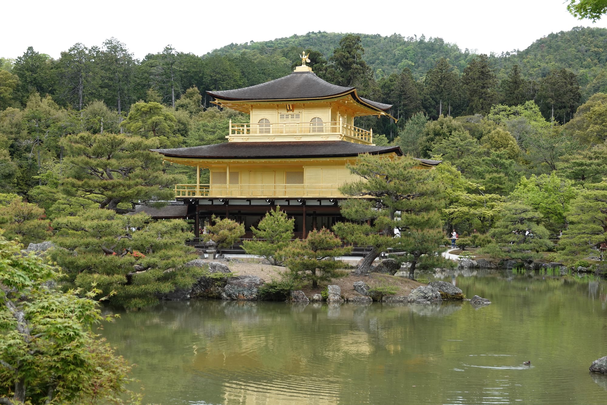 Tag 8 - Das ist eine komische Art Tokyo zu schreiben