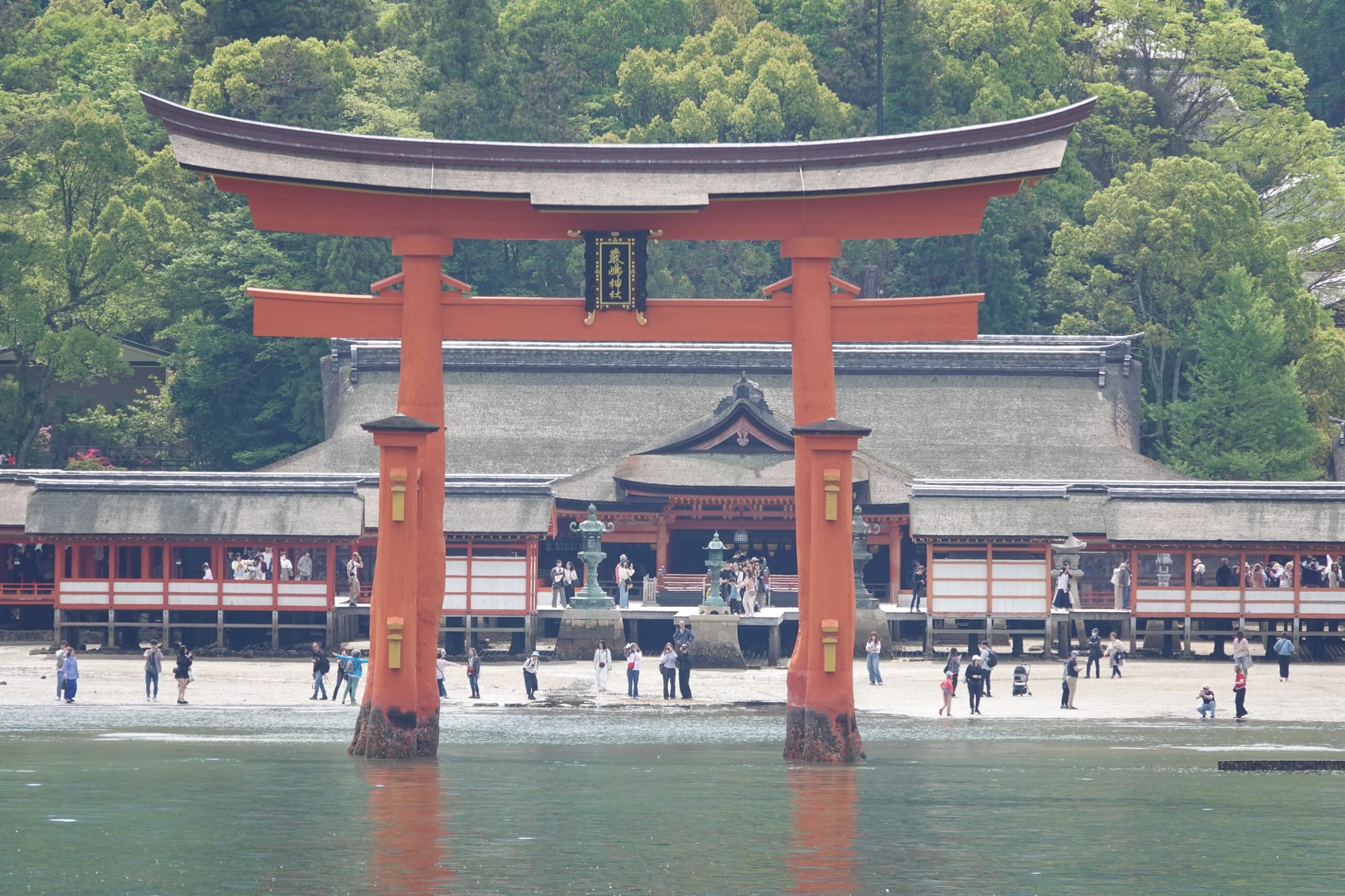 Tag 14 - Du schon wieder...