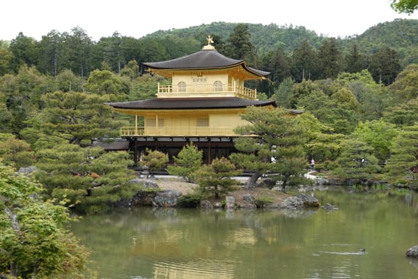 Tag 8 - Das ist eine komische Art Tokyo zu schreiben